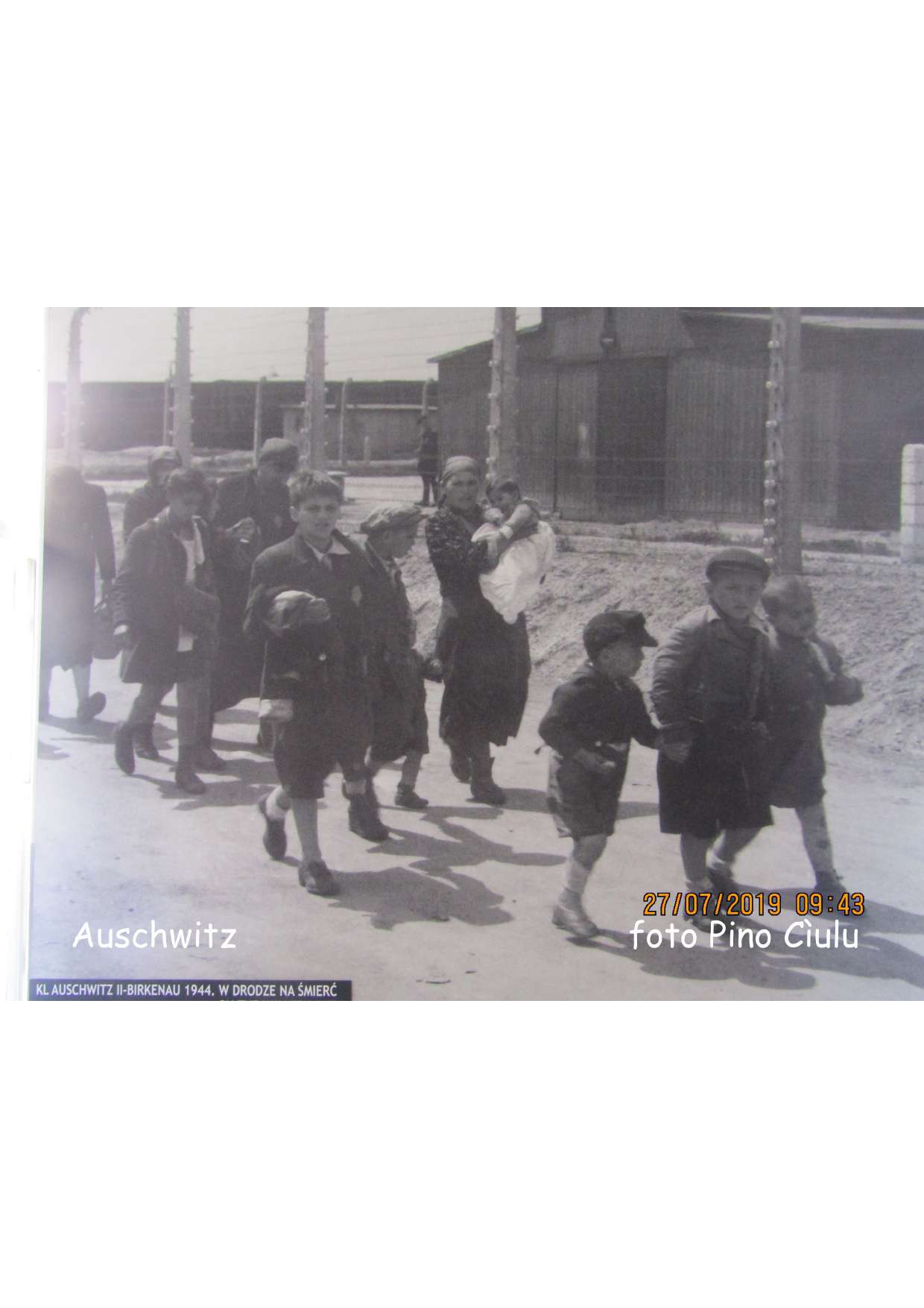 IMG_4722g_compressed (1)_page-0001.jpg