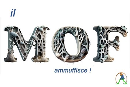 FMOF. Contratto sull'assegnazione delle risorse