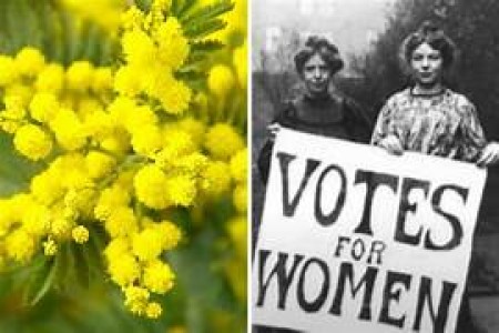 8 Marzo. A tutte le Donne della scuola