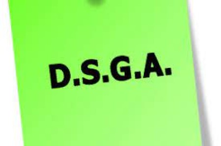 Nomina DSGA. Informativa in Direzione Generale.